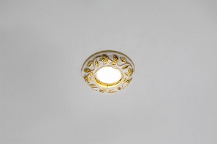 CAST 75 Gold